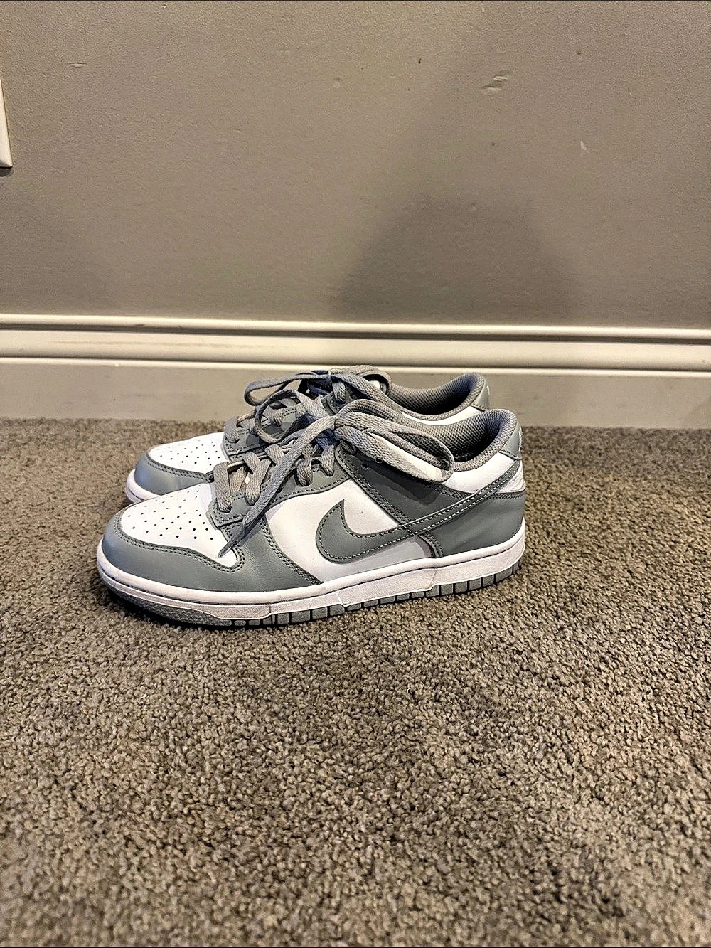 Boys Nike Dunk Low Photon Sneakers Gray & White (size 5.5)
